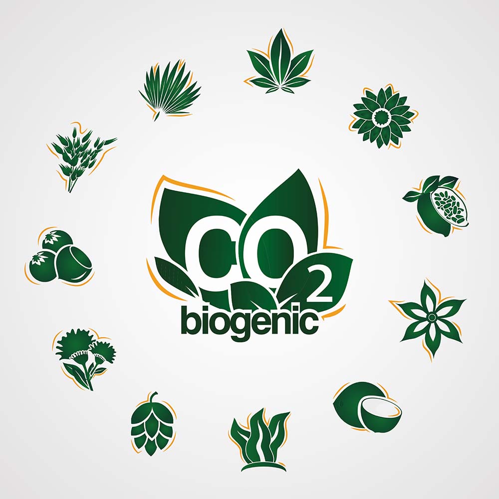Biogenic CO2